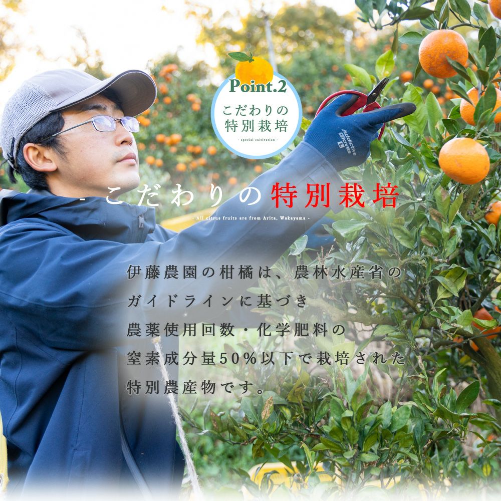 ジャバラ