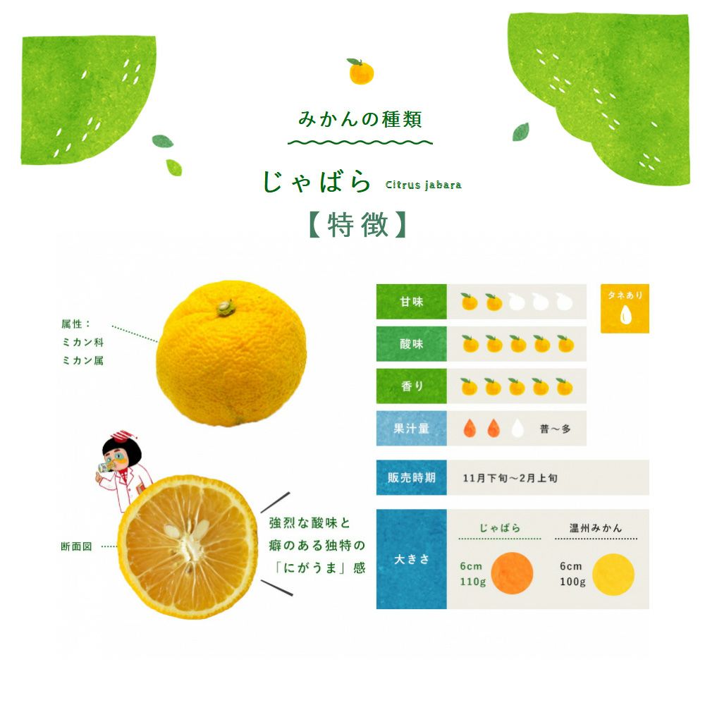 ジャバラ