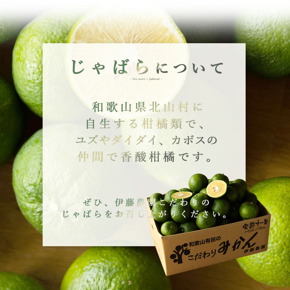 ジャバラ