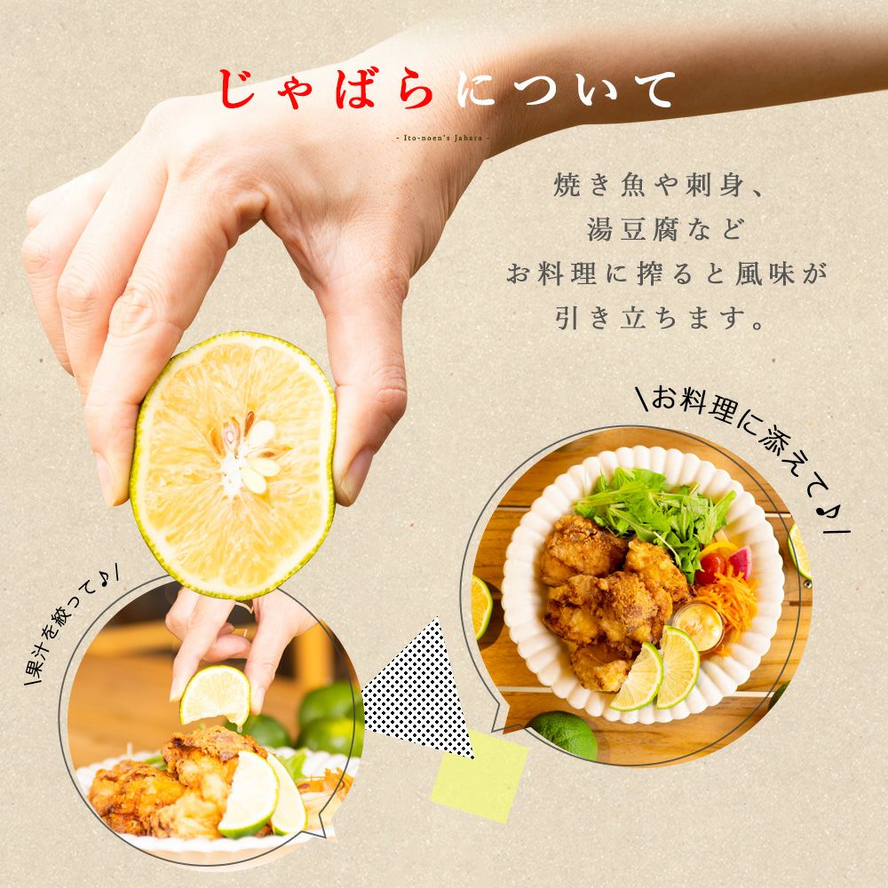 ジャバラ
