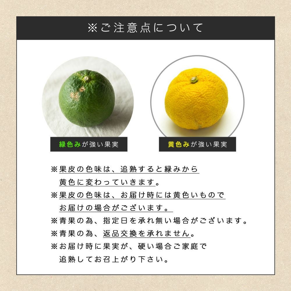 ジャバラ