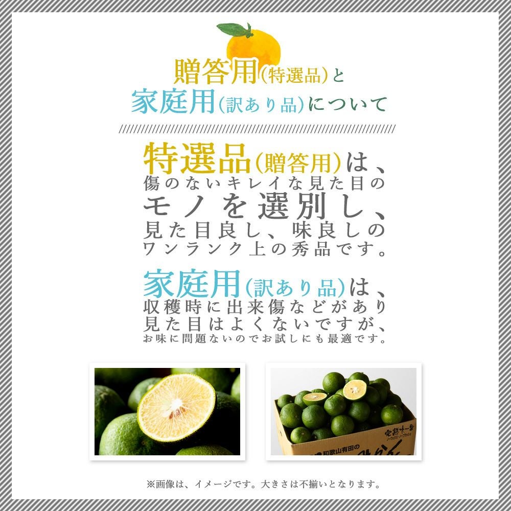 ジャバラ