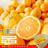 【有機JAS認証付】有田みかんミックスサイズ【家庭用(訳あり品)】[2.5kg・5kg・10kg] 2S～3Lサイズ