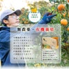 【有機JAS認証付】有田みかんミックスサイズ【家庭用(訳あり品)】[2.5kg・5kg・10kg] 2S～3Lサイズ