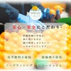 【有機JAS認証付】有田みかんミックスサイズ【家庭用(訳あり品)】[2.5kg・5kg・10kg] 2S～3Lサイズ