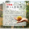 【有機JAS認証付】有田みかんミックスサイズ【家庭用(訳あり品)】[2.5kg・5kg・10kg] 2S～3Lサイズ
