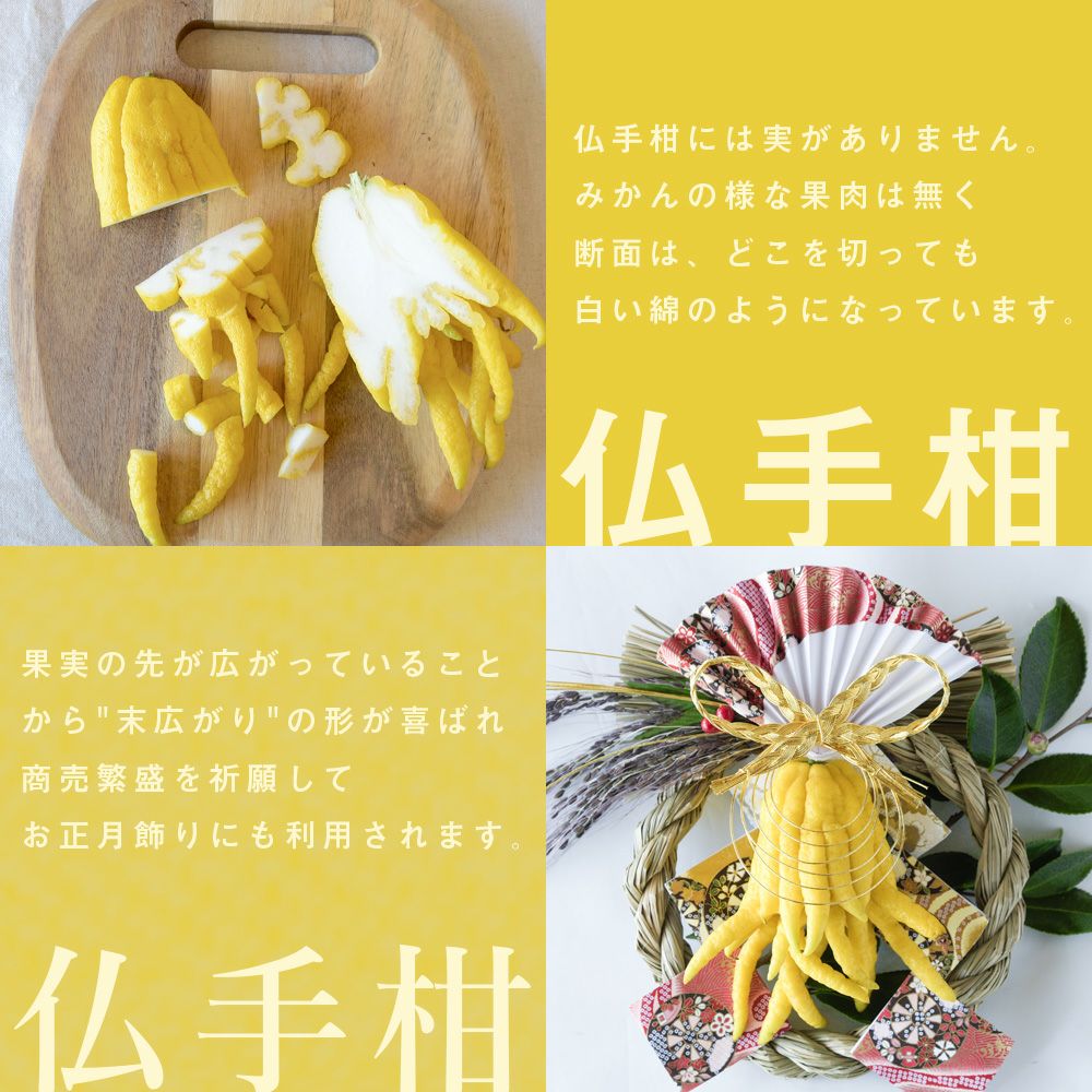 冬季限定】【数量限定】【12月26日以降 順次発送】仏手柑 1箱(1個入