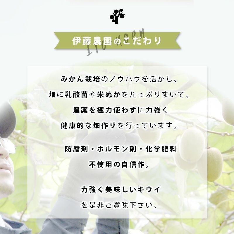 訳ありキウイ