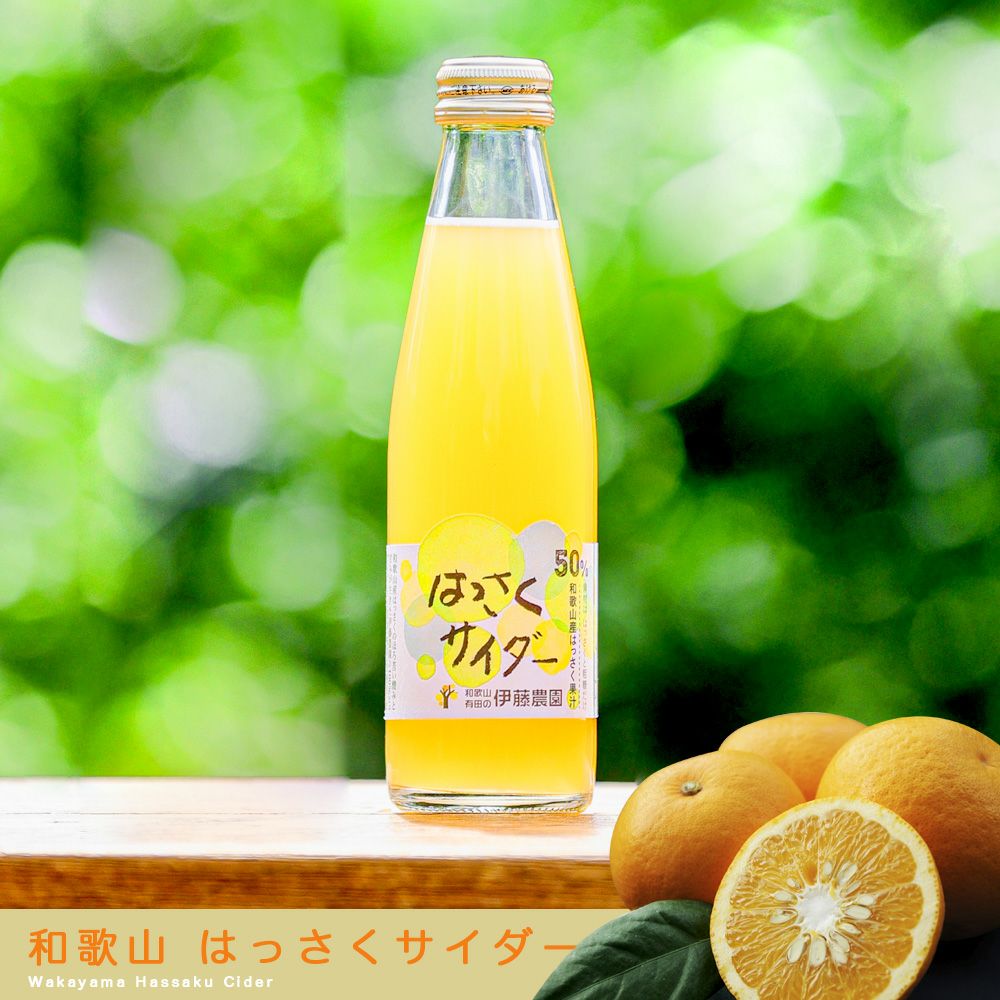 初夏のギフト特集】和歌山フルーツサイダー(はっさく) | 有田みかん