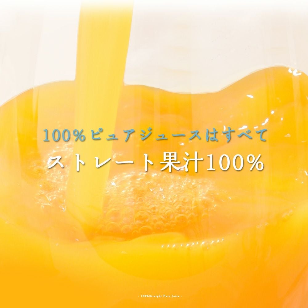 バラエティーセットV-095 (みかんジュース バラエティセット)