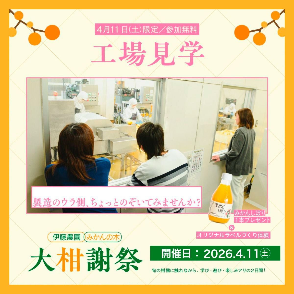 ファン感謝デイ】2026年春ガイド付き工場見学(お土産付) | 有田みかん