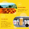 みかんエール WAKAYAMA MIKAN ALE