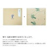 なめらか寒天ソルベ パックタイプ150g(みかんソルベ他4種)×7個セット