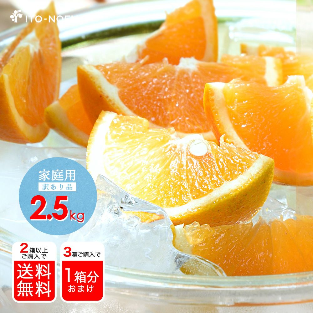 6月上旬より発送予定】【初夏限定】バレンシアオレンジ(ばれんしあ