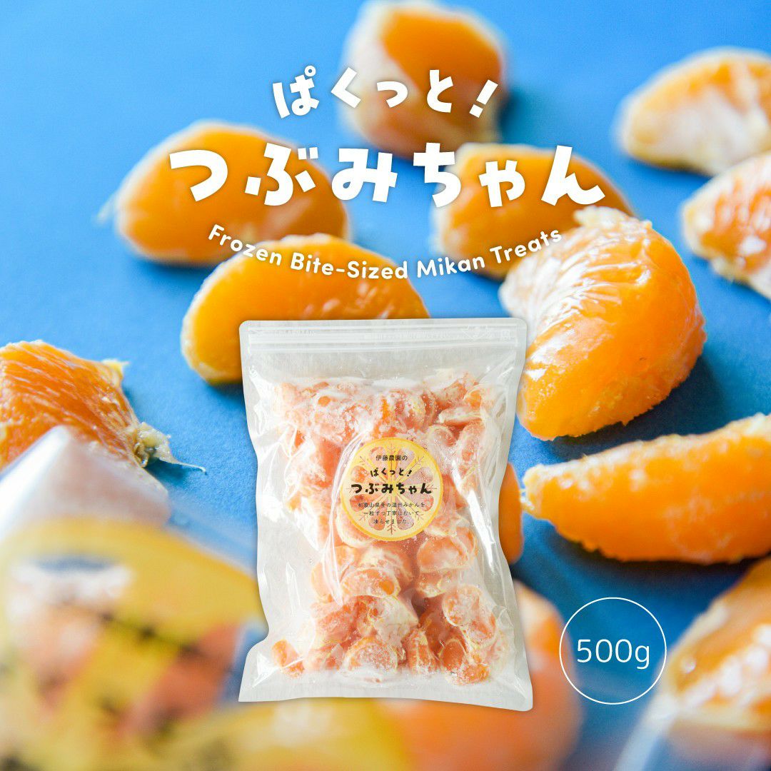 今期最終残り限定50箱】特選キウイ1kg ミックスサイズ S～2L 約8～15個