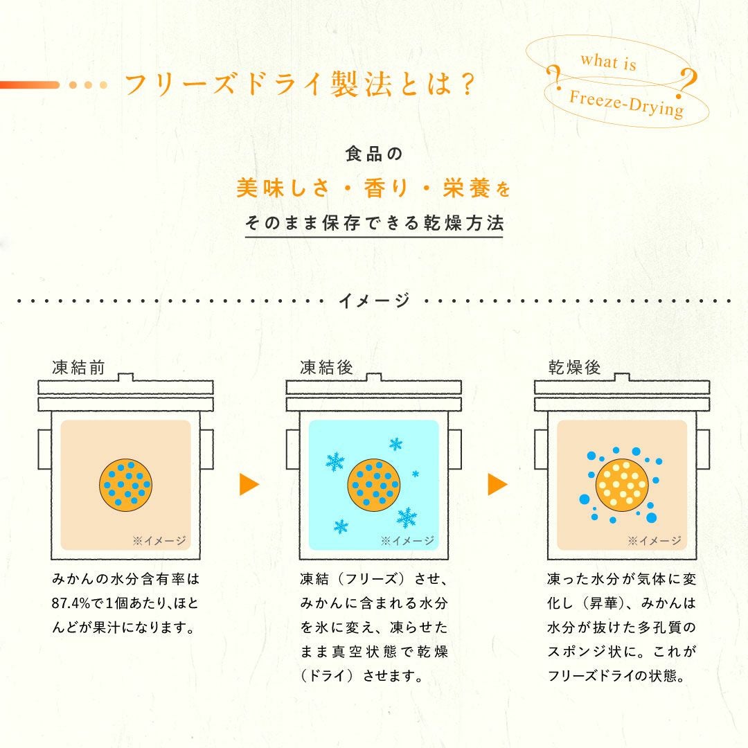 フリーズドライ製法とは
