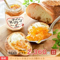 素材そのままマーマレード＆ジャム×3個入り(お試しセット)