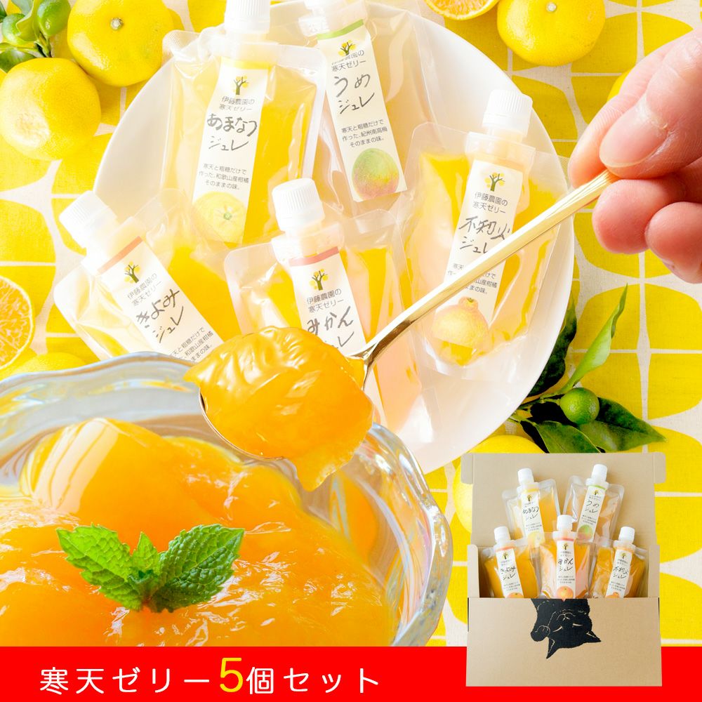 家庭用パウチ大容量