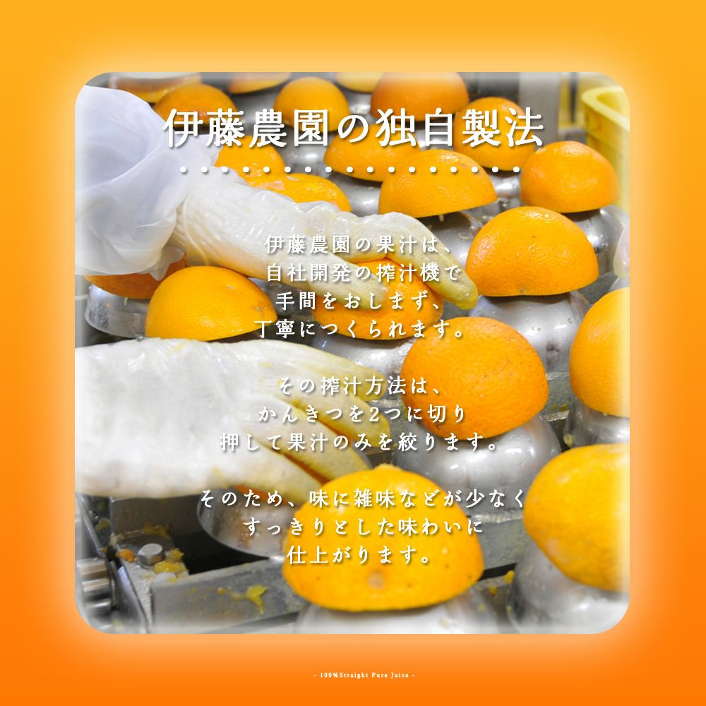 凍らせて食べるシャーベット(なめらか寒天ソルベ)| 瓶タイプ90g(不知火ソルベ)×6個セット