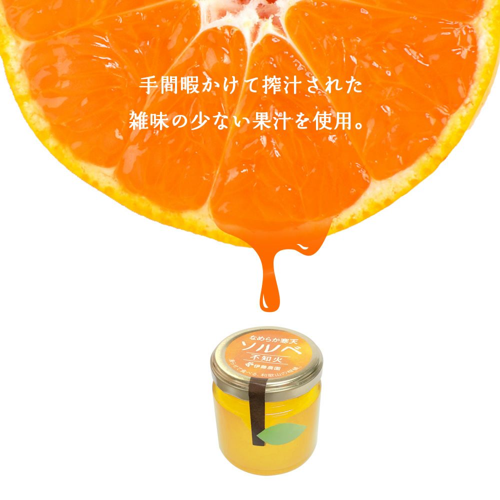 凍らせて食べるシャーベット(なめらか寒天ソルベ)| 瓶タイプ90g(不知火ソルベ)×6個セット