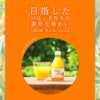 【内祝ギフト対象商品】【よりどり選べるギフト】100%ピュアジュース180ml(みかんジュース他16種)×3本セット(ギフト箱入) U-50703g