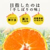 【内祝ギフト対象商品】【セット本数から選べるギフト】100%ピュアジュース180ml(みかんジュース他16種)×10本ギフト(ギフト箱入) U-50710g