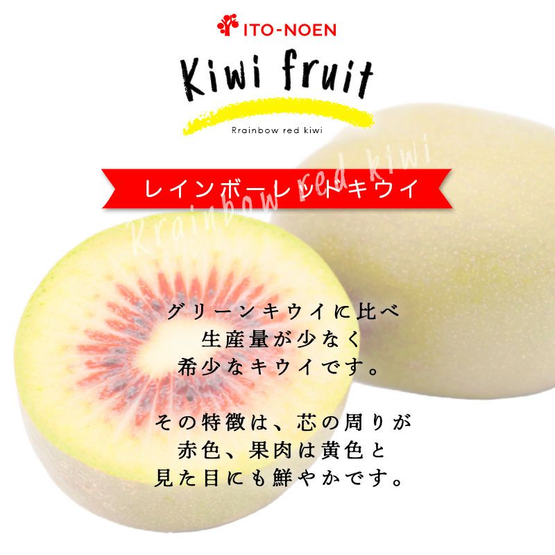 家庭用(訳あり品)キウイ［レインボーレッド］ミックスサイズ1kg