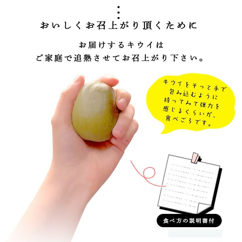 家庭用(訳あり品)キウイ［レインボーレッド］ミックスサイズ1kg
