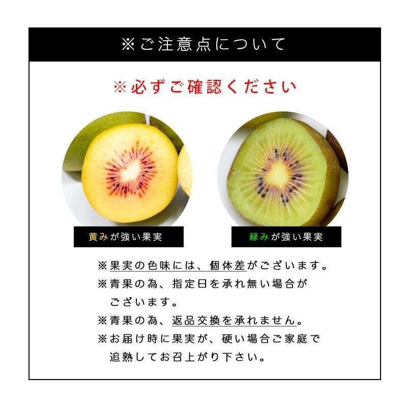 家庭用(訳あり品)キウイ［レインボーレッド］ミックスサイズ1kg