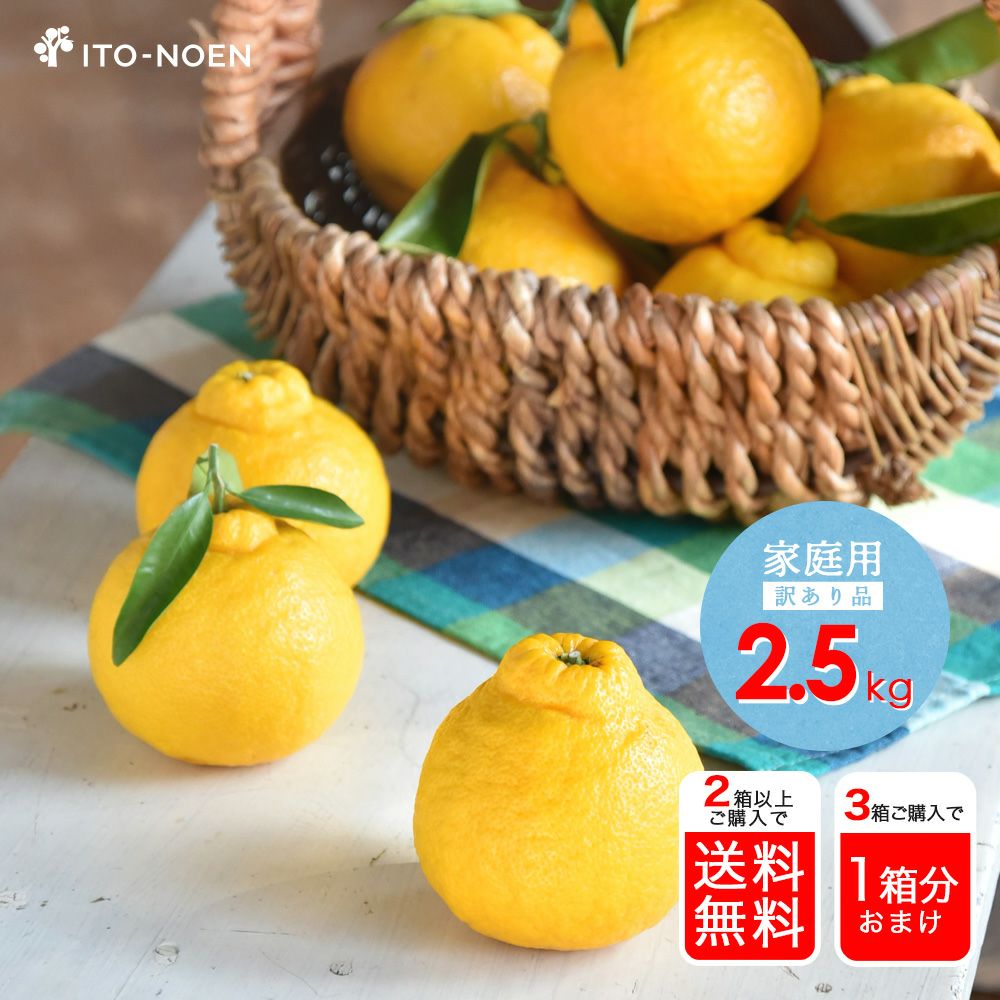 掛軸 E-8 昭 三宝柑 箱なし 冬 春 鉢入 果物 ゼリー】三宝柑福居袋5個入 | 飯島商店みすゞ飴本舗