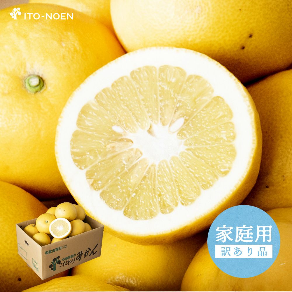 文旦　文旦　柑橘　　125 文旦♡単品5キロ | 柑橘直送 YAJIMA農園