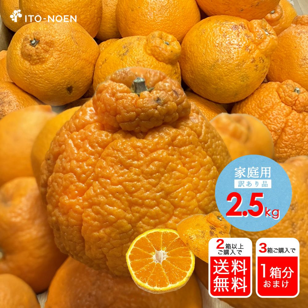 36.愛知県産　デコポン（不知火）約20kg家庭用 デコポン 不知火（愛媛産）20Kgのお取り寄せ販売（通販）送料無料でお届け