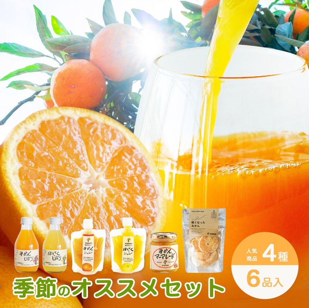伊藤農園おすすめみかん商品セット