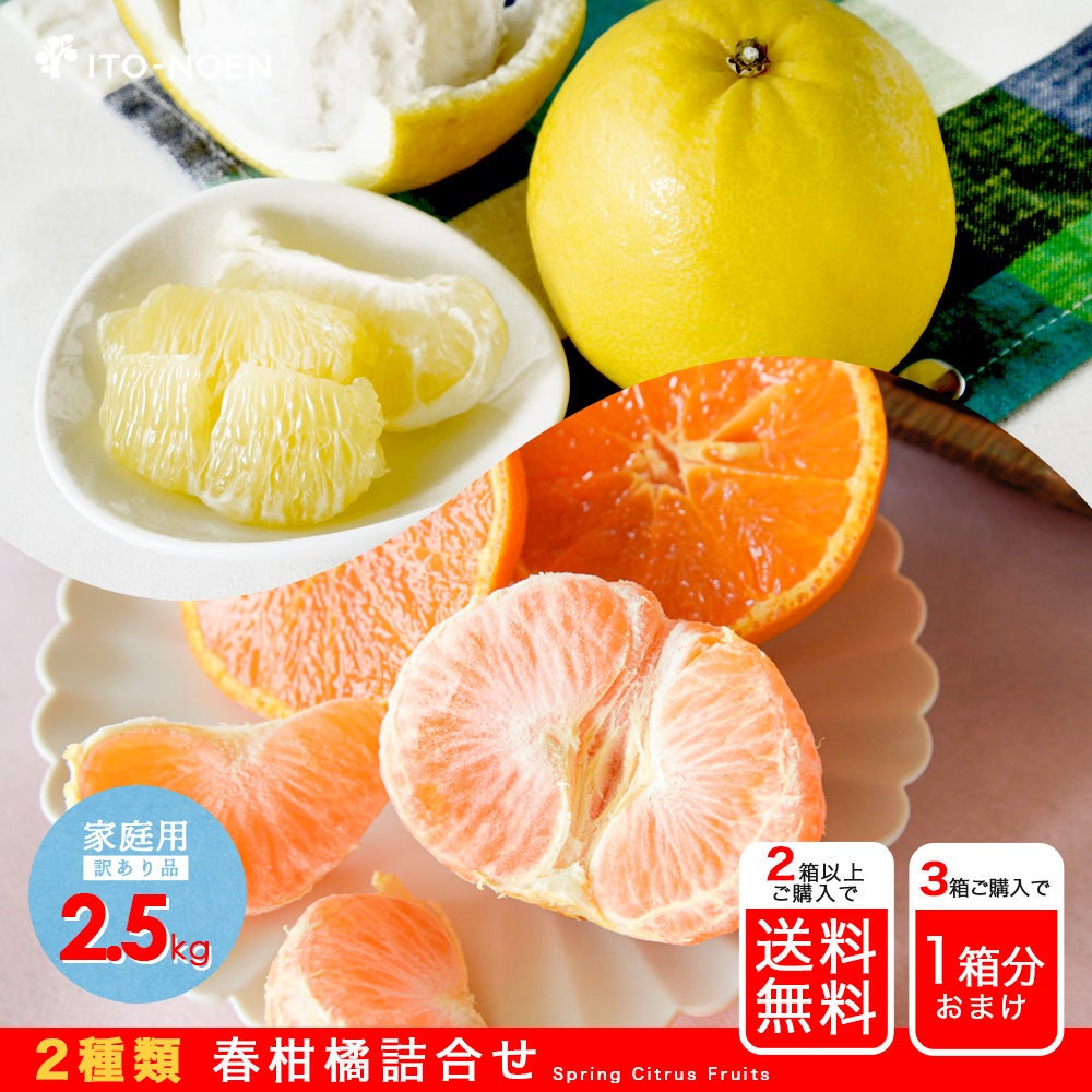 福島民報・朝刊】春柑橘お楽しみ箱(カラマンダリン・河内晩柑)【家庭用