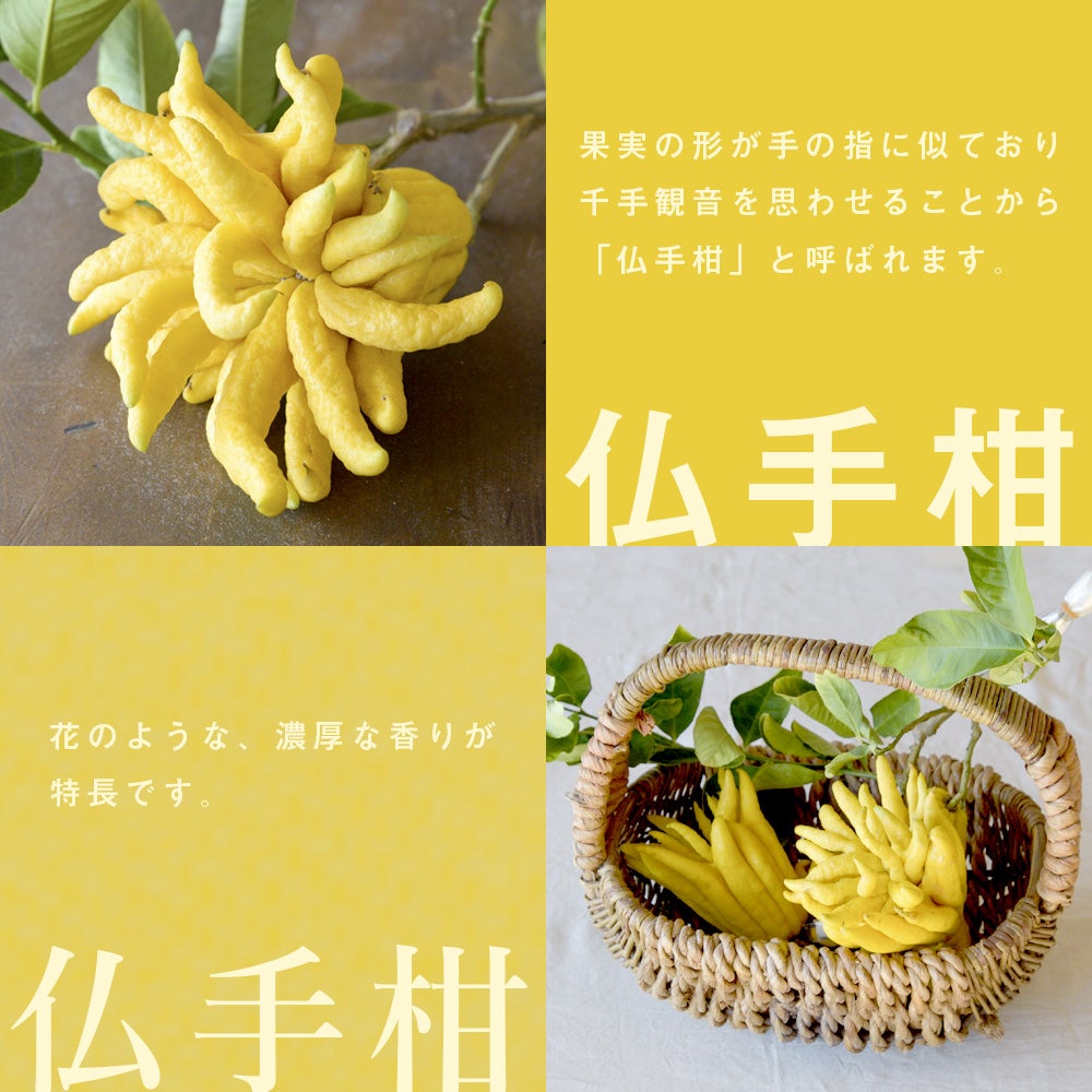 エッセンシャルオイルみかん